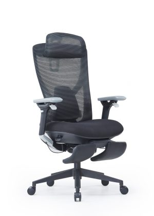 MORDEN BLACK-HB