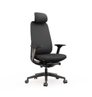 Hydra Headrest
